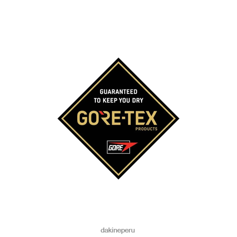 Dakine hombres guante de gatillo baron gore-tex accesorio D288F6535