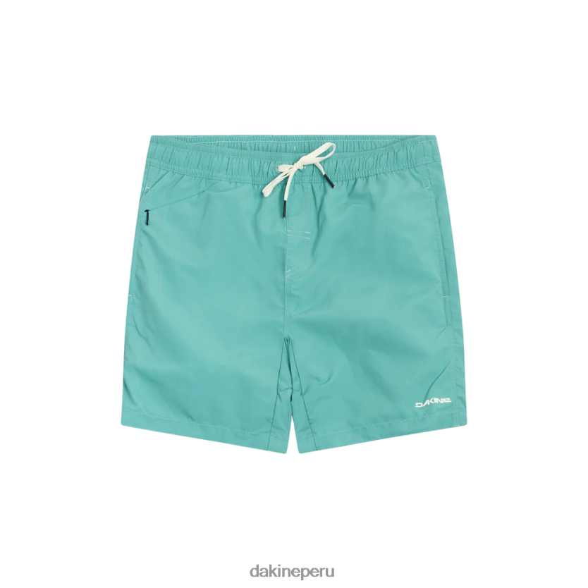 Dakine hombres bañador de crucero ropa D288F6263