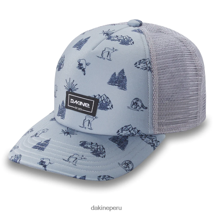 Dakine juventud gorra de camionero grom accesorio D288F6723